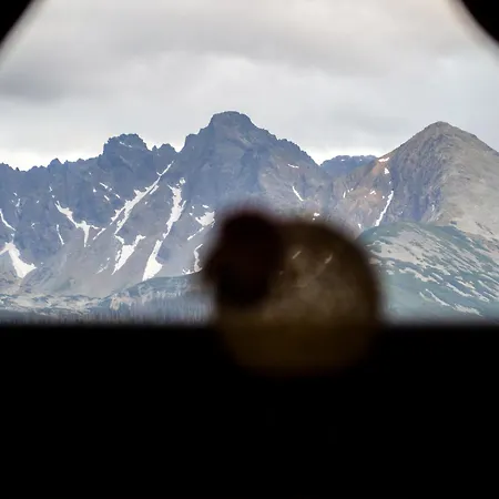 U Gawlaka - Z Jacuzzi I Widokiem Na Tatry Panzió